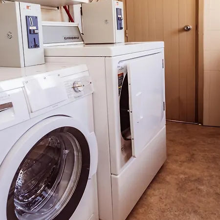 Leevin Student * Barcelona