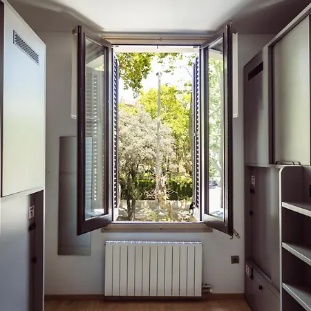 Daire Leevin Student Barselona